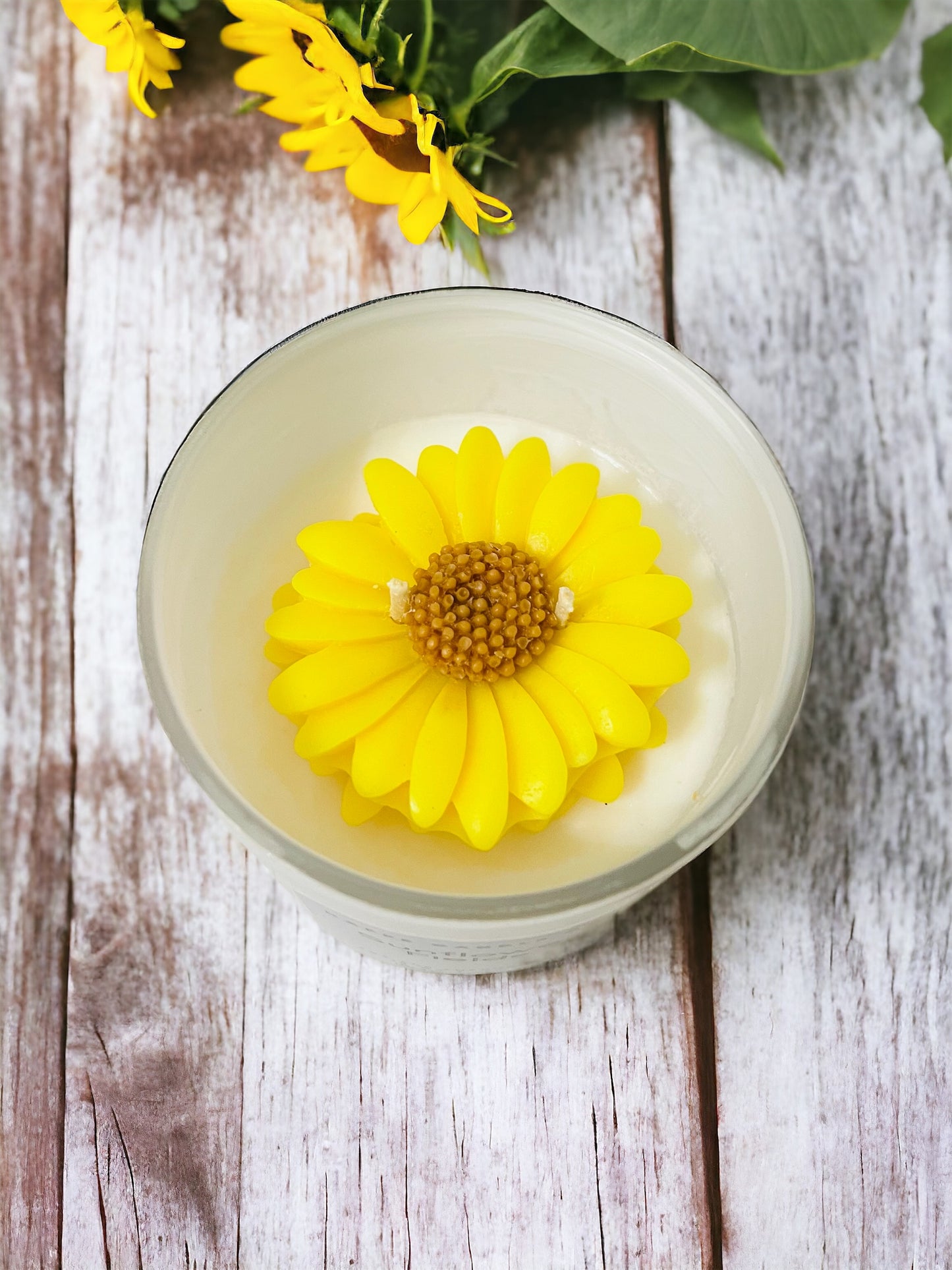 Sunflower Fields